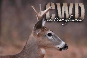 Game Commission expands CWD rules <p data-wpview-marker=