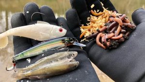 FISHING EXPERIMENT: Best Winter Bait??? (Lures vs. Minnows vs. Worms)