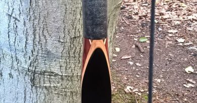 Black Ven by Broome Bows 60″ 42@28#