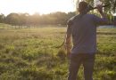 Longbow vs. Recurve: What’s the Difference?