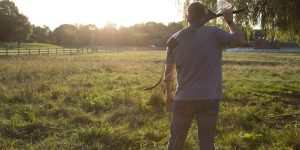 Longbow vs. Recurve: What’s the Difference?