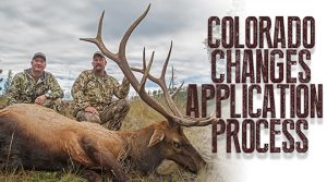 Important Changes in the Colorado Big Game Application Process