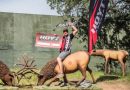 “Big Cat” Rocks Redding