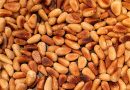 Camping Recipes with Pinyon Pine Nuts
