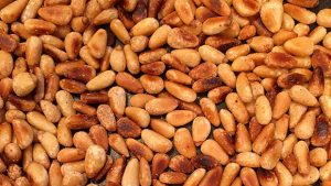 Camping Recipes with Pinyon Pine Nuts