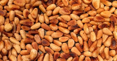 Camping Recipes with Pinyon Pine Nuts