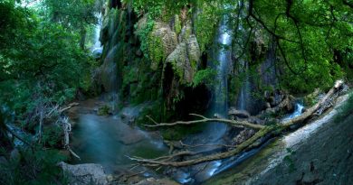 Explore the Texas Hill Country in Colorado Bend State Park