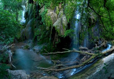 Explore the Texas Hill Country in Colorado Bend State Park