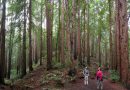 San Francisco’s Top 10 Dayhikes