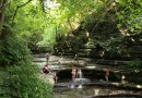 Chicago’s Top 6 Dayhikes