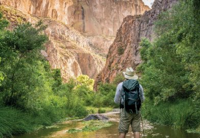 Walk on Water in the Aravaipa Canyon Wilderness