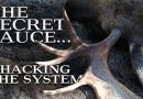 The Secret Sauce…Hacking The System