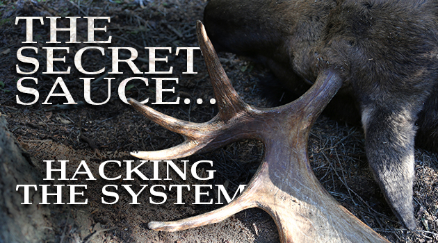 The Secret Sauce…Hacking The System
