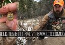 The 6mm Creedmoor From Hornady