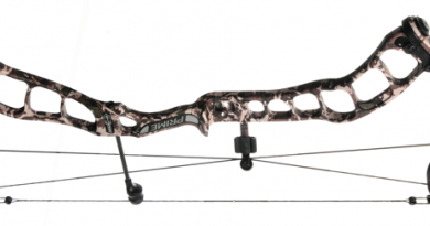 Bow Review: Prime Centergy