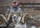 Beyond The Grid: Giant Marco Polo Rams