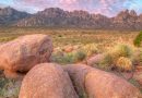 Can the Organ Mountains Survive the White House’s Monument Review?