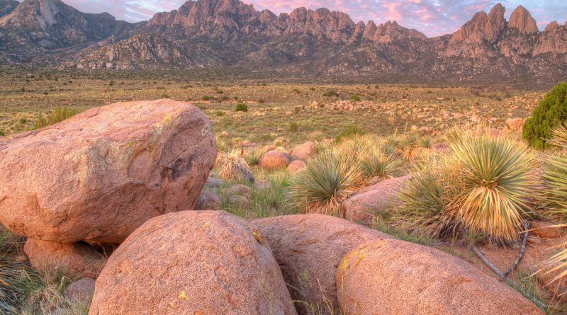 Can the Organ Mountains Survive the White House’s Monument Review?