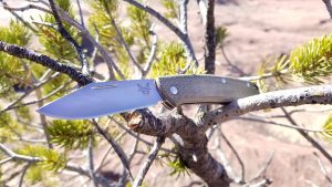 Non-Locking Standout: Benchmade Proper 318 Knife Review
