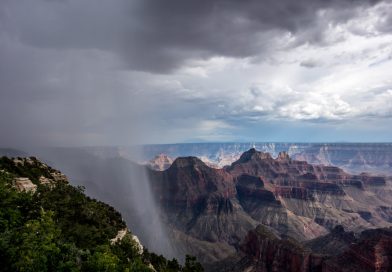 7 Tips For Cooking in the Rain