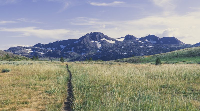 The Appalachian Trail vs. Pacific Crest Trail: Which Hike Is Right for You?