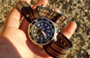 Citizen’s Sundial: The ProMaster Diver Watch
