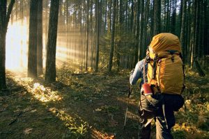 Editors’ Choice 2007: The Best Backpacking Gear of the Year