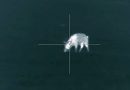 Pulsar Trail XP50’s Hog Hunting Footage and Capabilites Are Insane