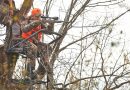 5 Great Ways to Hide From Deer
