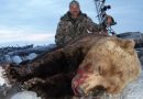 A Look Back at the World-Record Grizzly Bear, All 27 1/16 Inches of Him