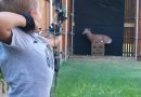 4 Tips for Backyard Target Shooting