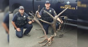Oregon Poachers to Pay Thousands in Restitution for Killing of 8X6 Bull Elk