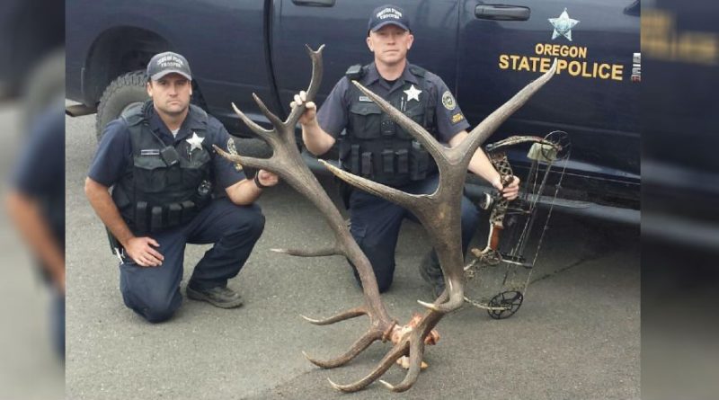 Oregon Poachers to Pay Thousands in Restitution for Killing of 8X6 Bull Elk