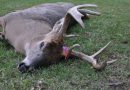 Minnesota and South Dakota Working Hard to Understand CWD Impact