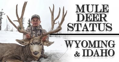 Mule Deer Status: Wyoming And Idaho