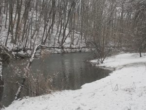 Signs of spring: trout fishermen and deer road kills