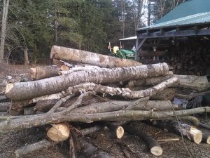 Tackling busy April of chores ahead of spring gobbler season