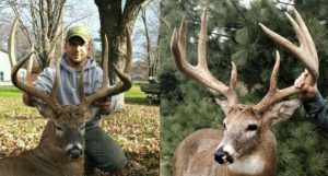 #WhitetailWednesday: Feast Your Eyes on 5 of the Biggest 8-Point Bucks Ever