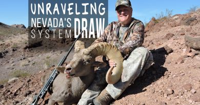 Unraveling The Nevada Draw System