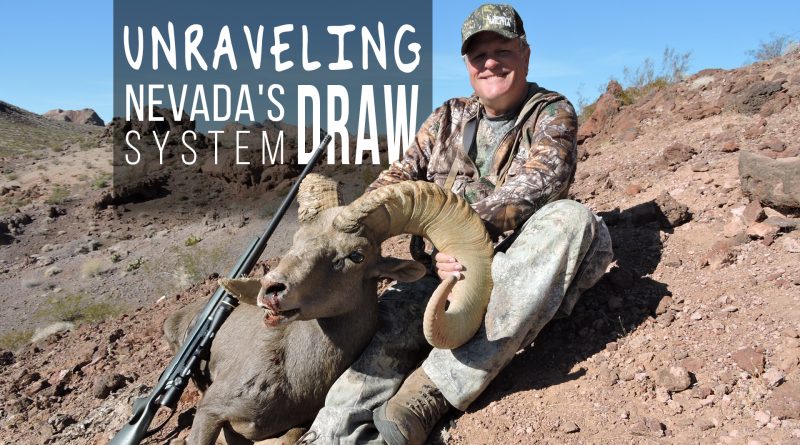 Unraveling The Nevada Draw System