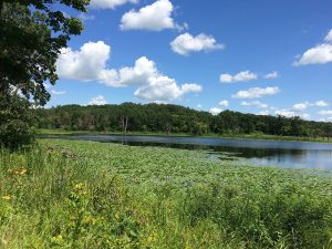 Otter Tail County conservation easement: creating a family legacy for future generations