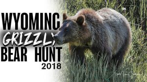 2018 Wyoming Grizzly Bear Hunt?