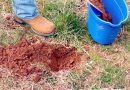 Soil Samples: The First and Most Important Step in Building a Food Plot