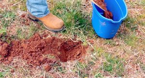 Soil Samples: The First and Most Important Step in Building a Food Plot
