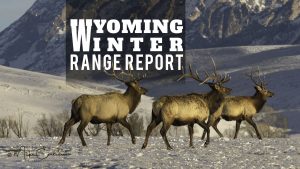 2018 Wyoming Winter Range Report