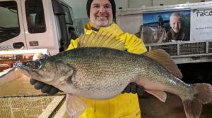 A sign of things to come for Iowa walleye anglers?