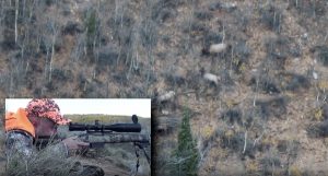Hunter Shoots Elk from 875 Yards with .308