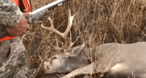 This Buck Isn’t Going Down without a Fight