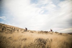 Dust, Sun and Singletrack