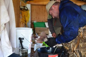 The Lake Sarah experiment: Genetic research continues into southern Minnesota’s premier walleye fishery 